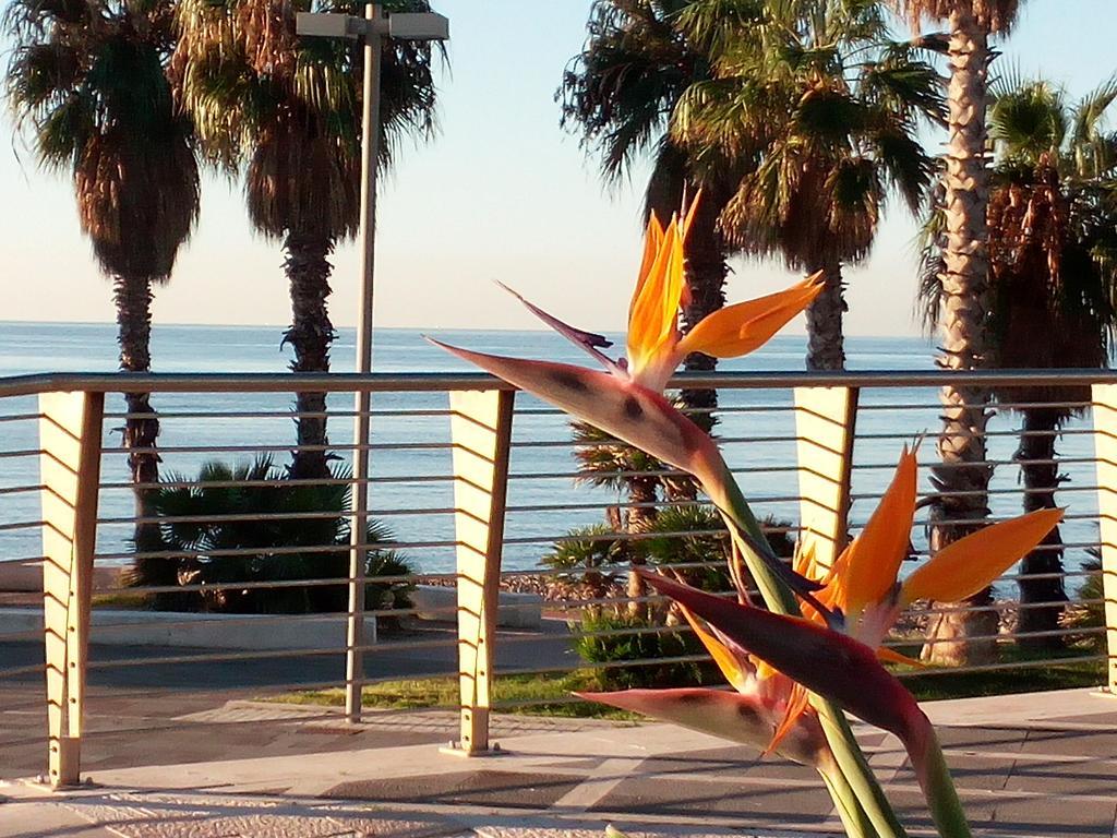 Residence Stendhal Guest House Civitavecchia Exterior foto